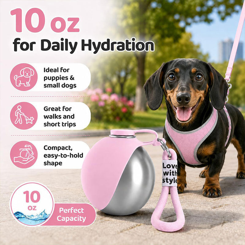 304 Stainless Steel Dog Travel Water Bottle